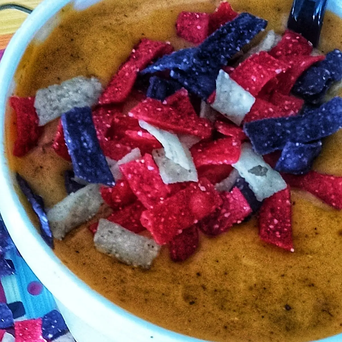 Soup Chicken Enchilada