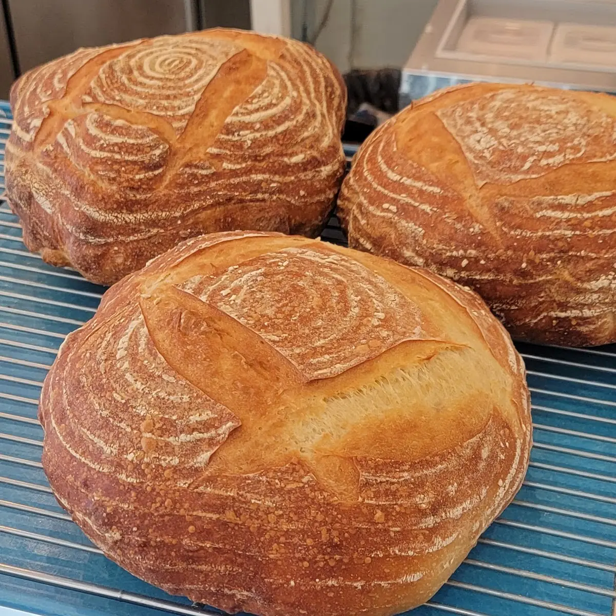 Sourdough Bread