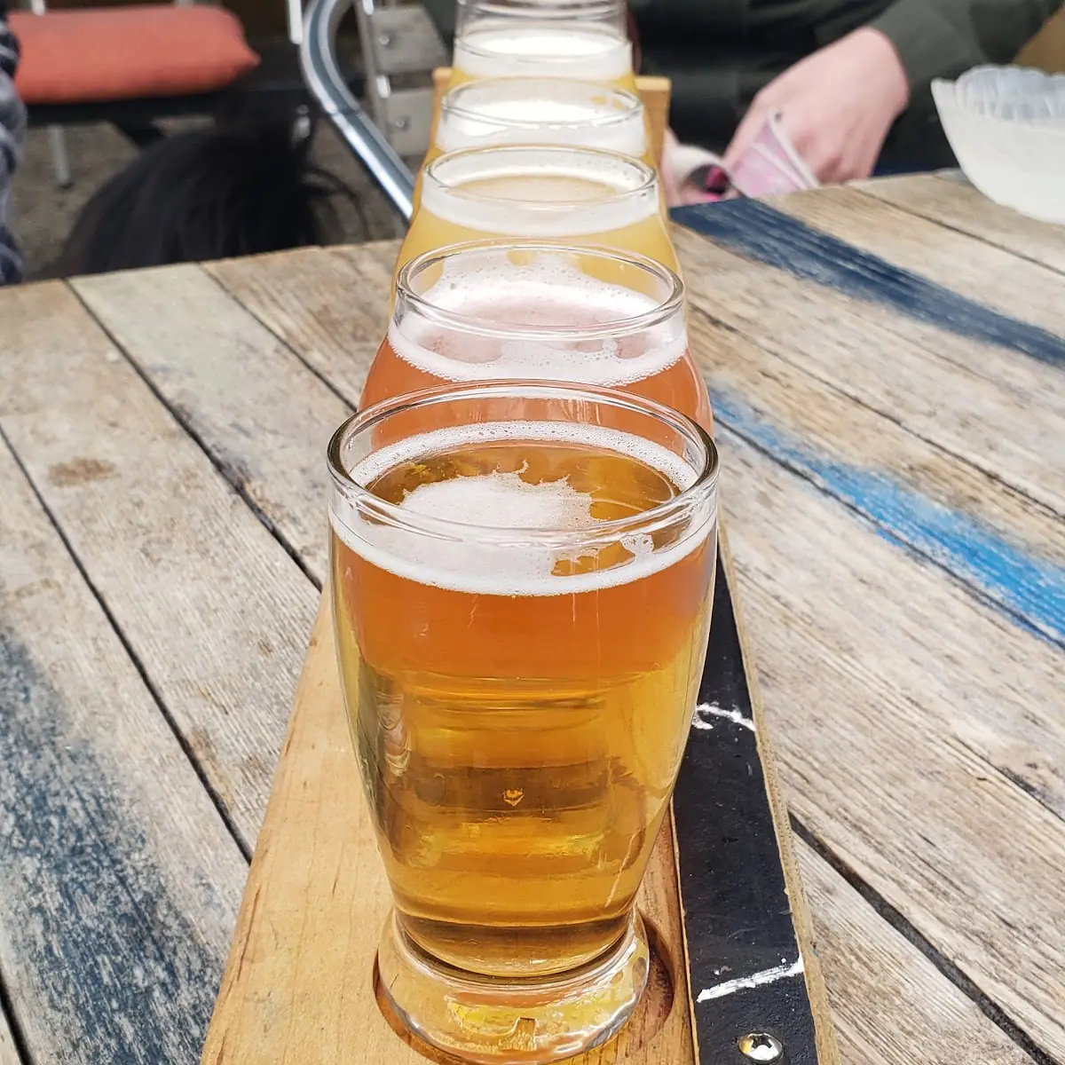 Flight of Craft Beer