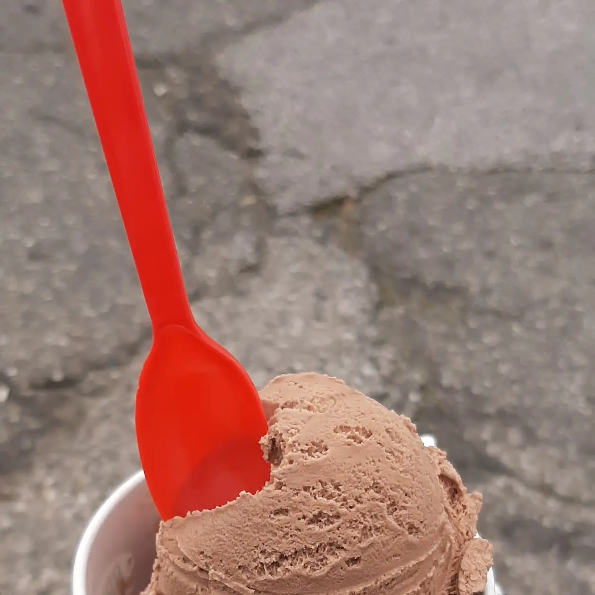 Double Scoop Chocolate Ice Cream Cup