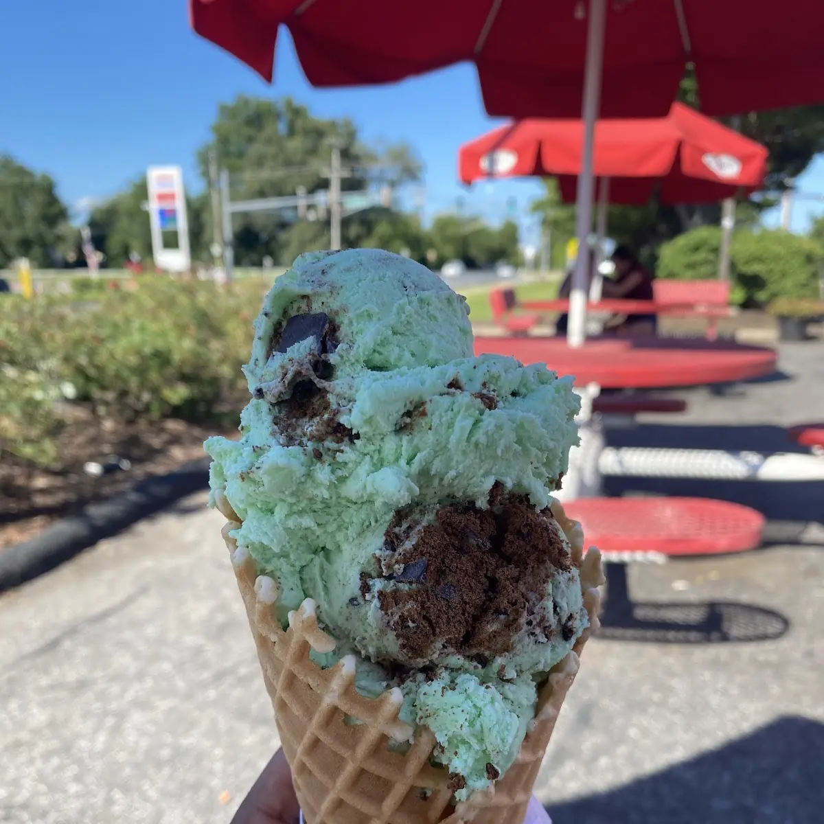Mint Chocolate Chip