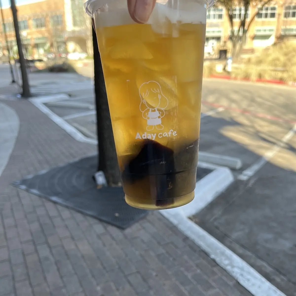 Jasmine Green Tea with Grass Jelly
