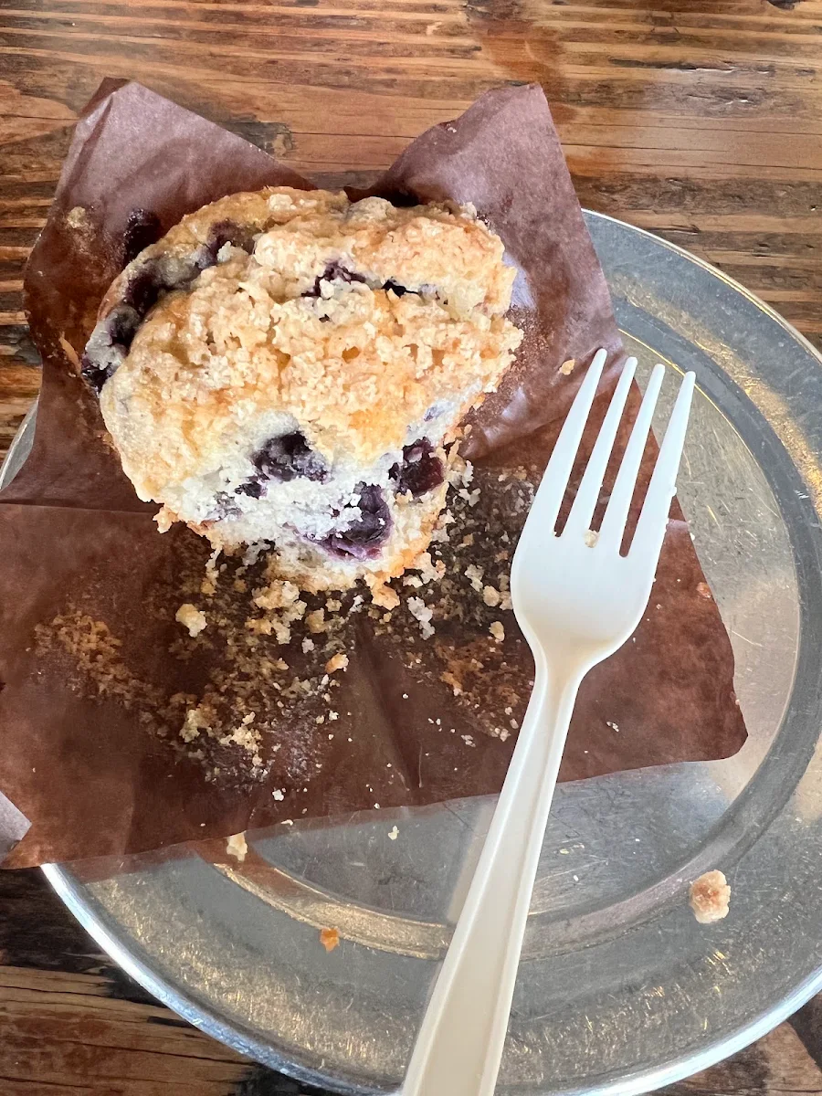 Blueberry Muffin