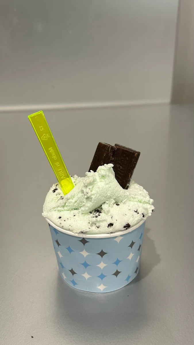 Mint Chocolate Chip