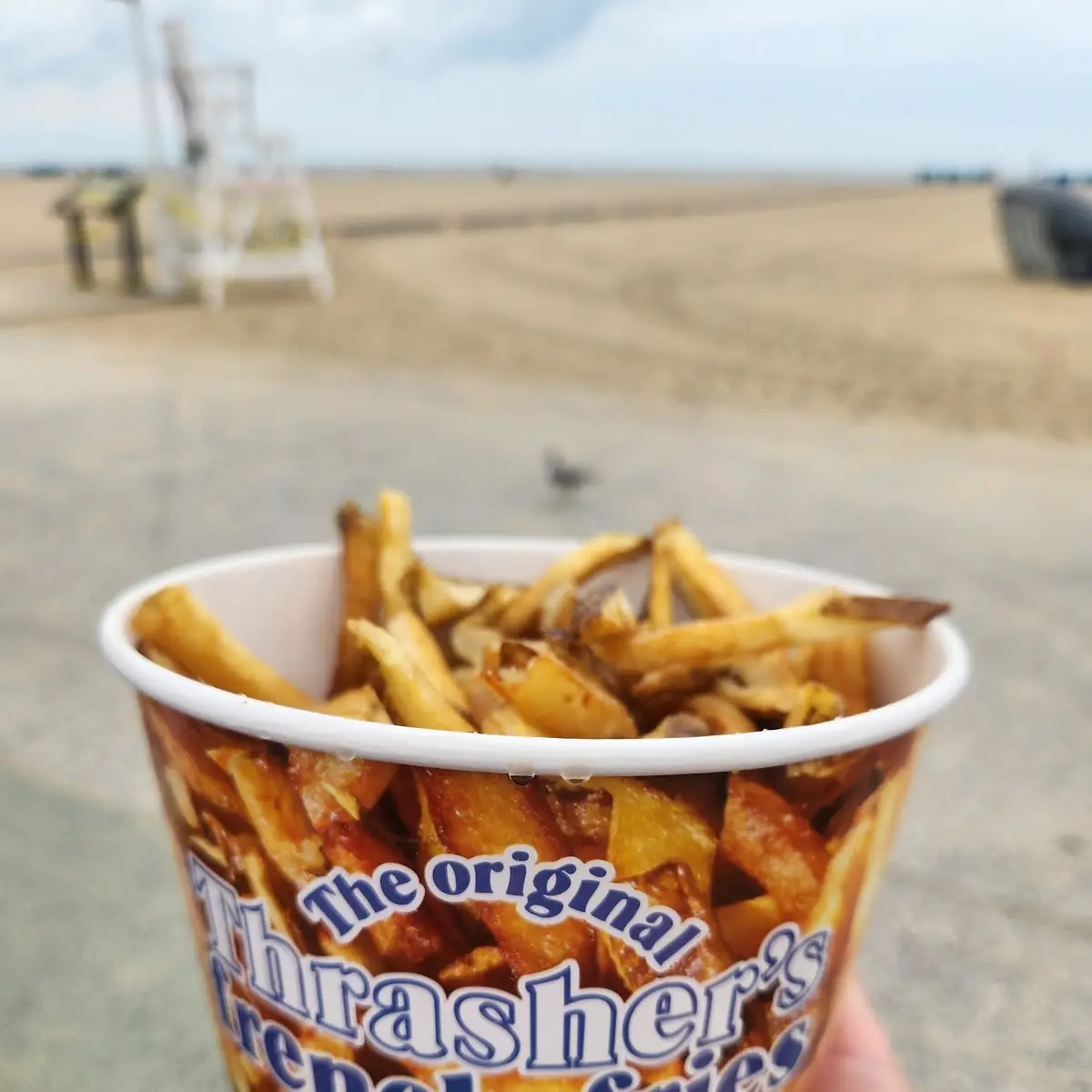 Original French Fries