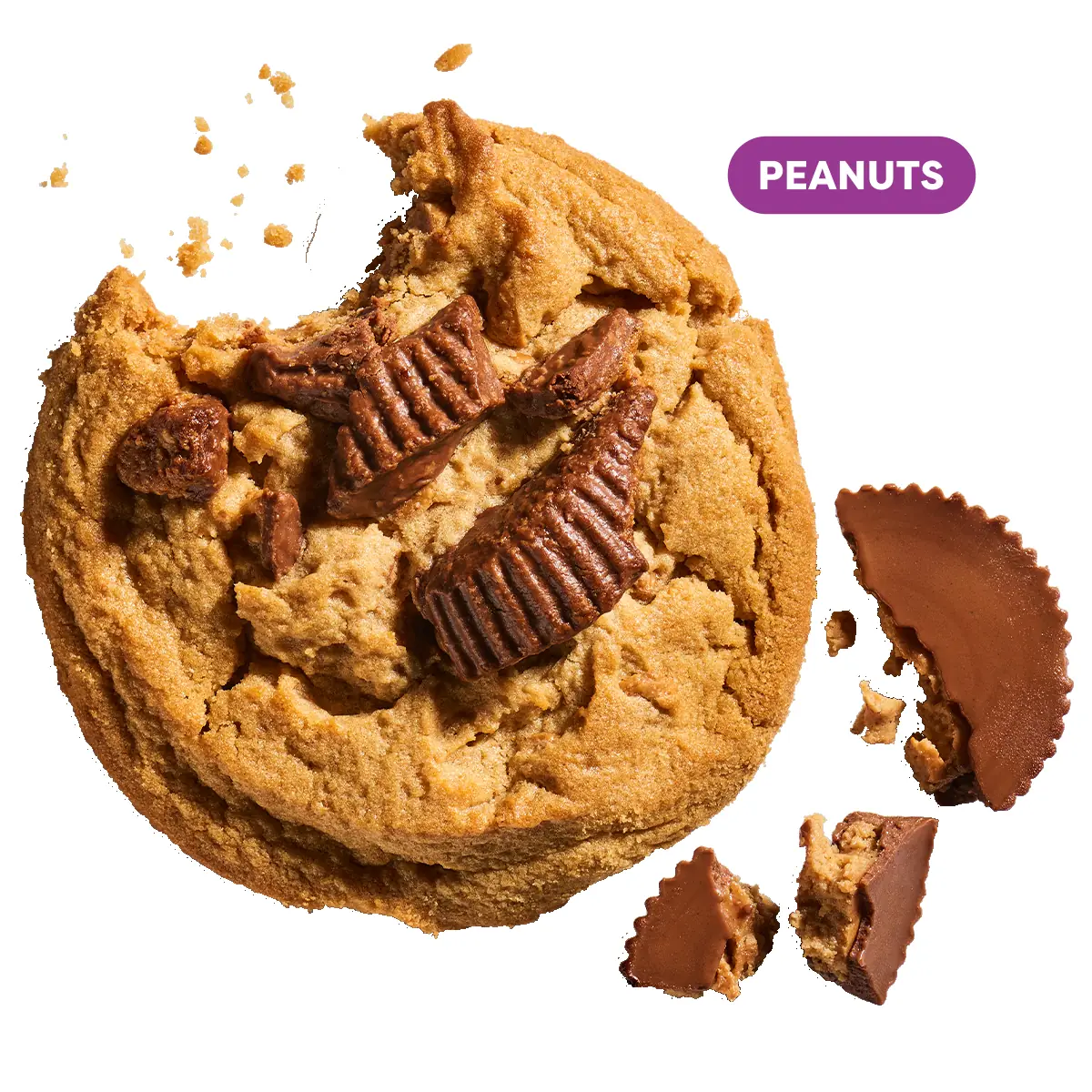 Chocolate Chip Cookie