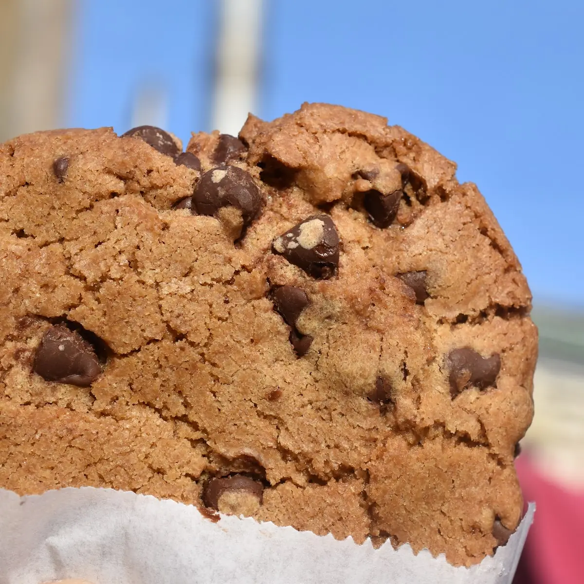 Chocolate Chip Cookie