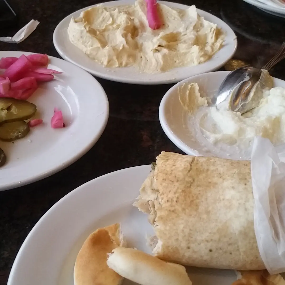 Chicken Shawarma Sandwich and Hummus with Extra Garlic Sauce