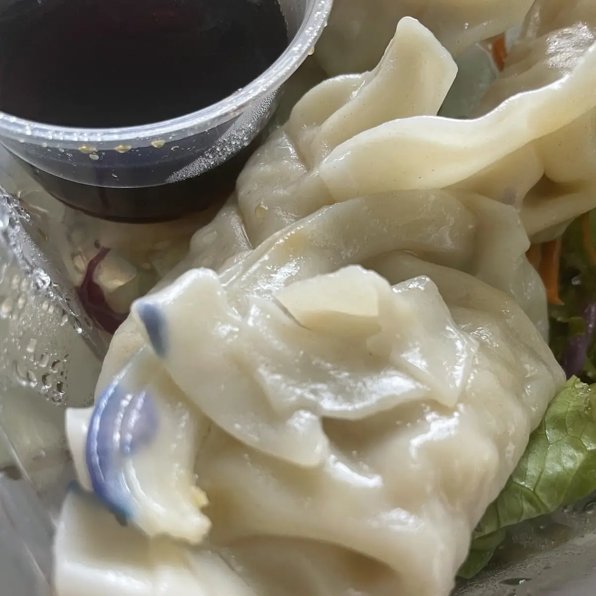 Steamed Dumplings