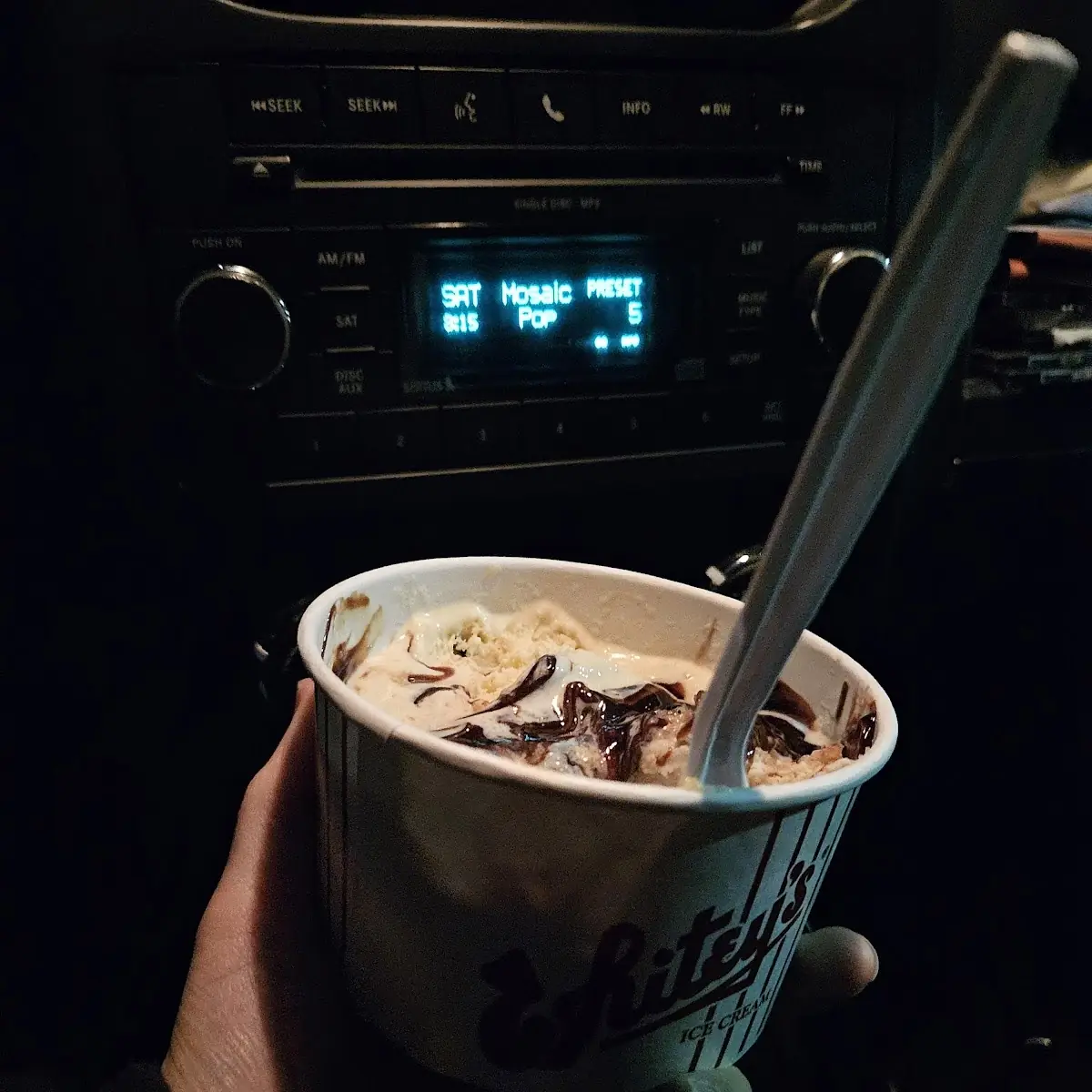 Cookie Dough Ice Cream with Fudge