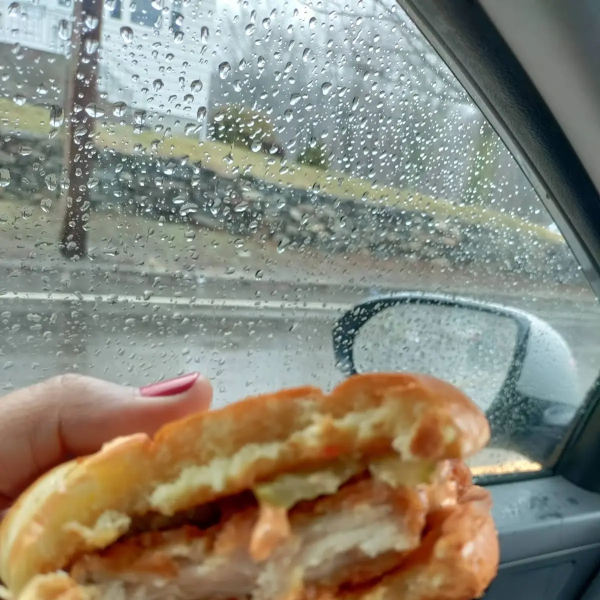 Crispy Chicken Sandwich