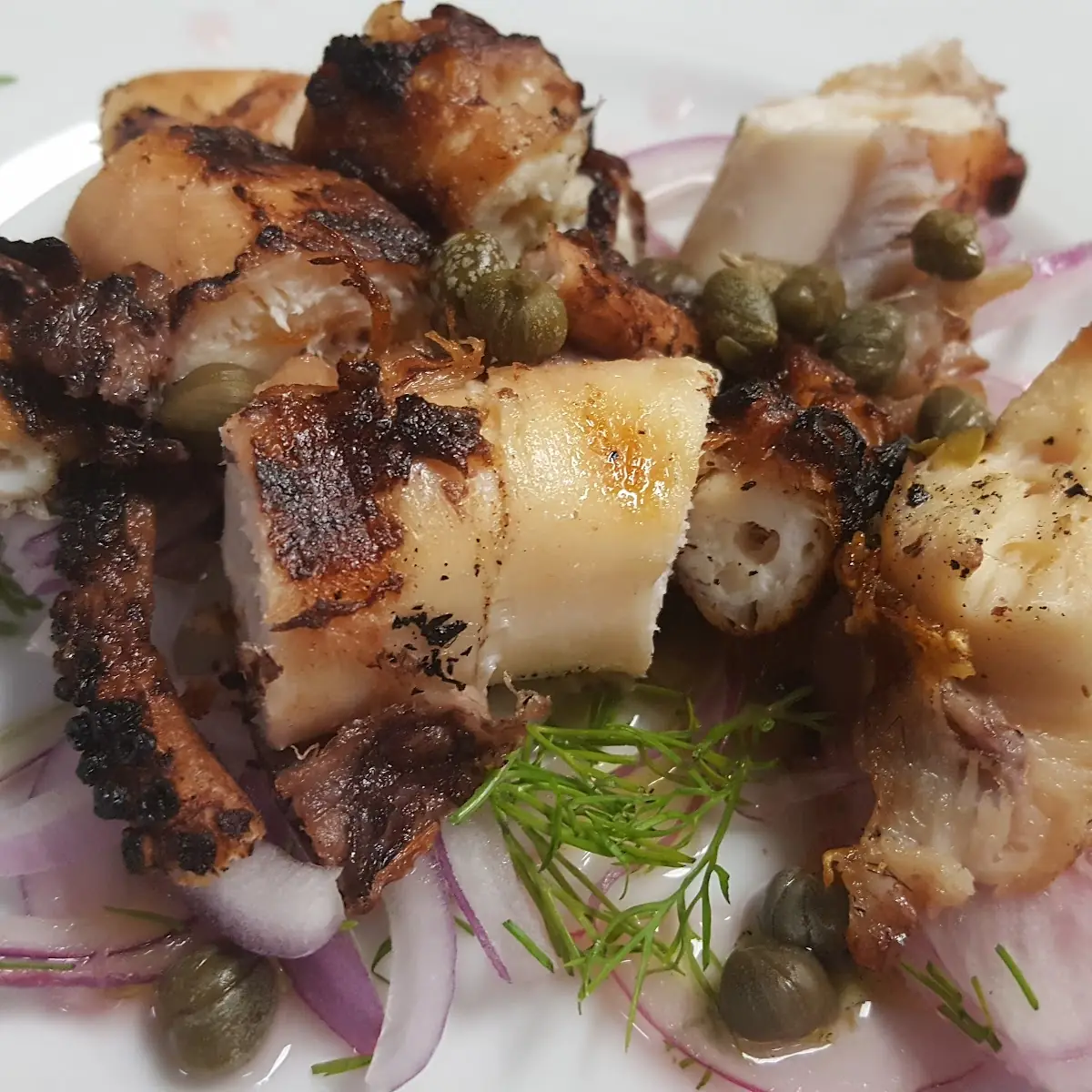 Grilled Octopus