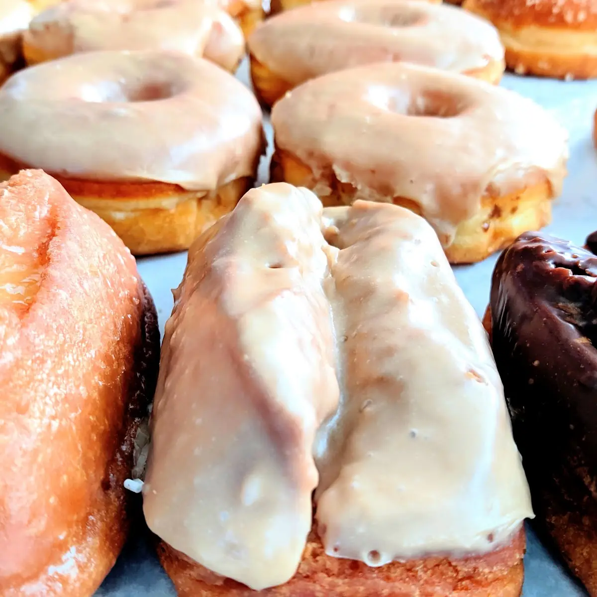 Regular Donuts