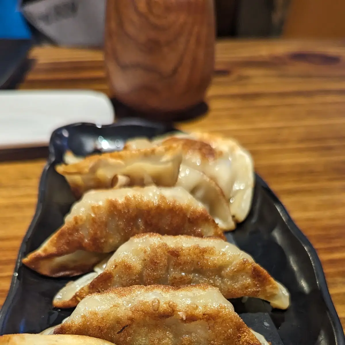 Pan Fried Pork Gyoza Dumplings
