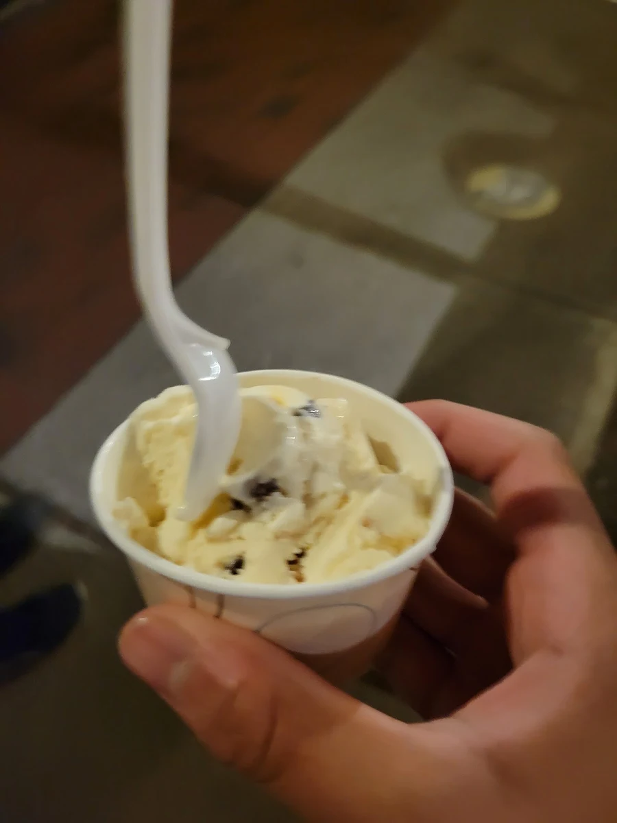 Chocolate Chip Cookie Dough