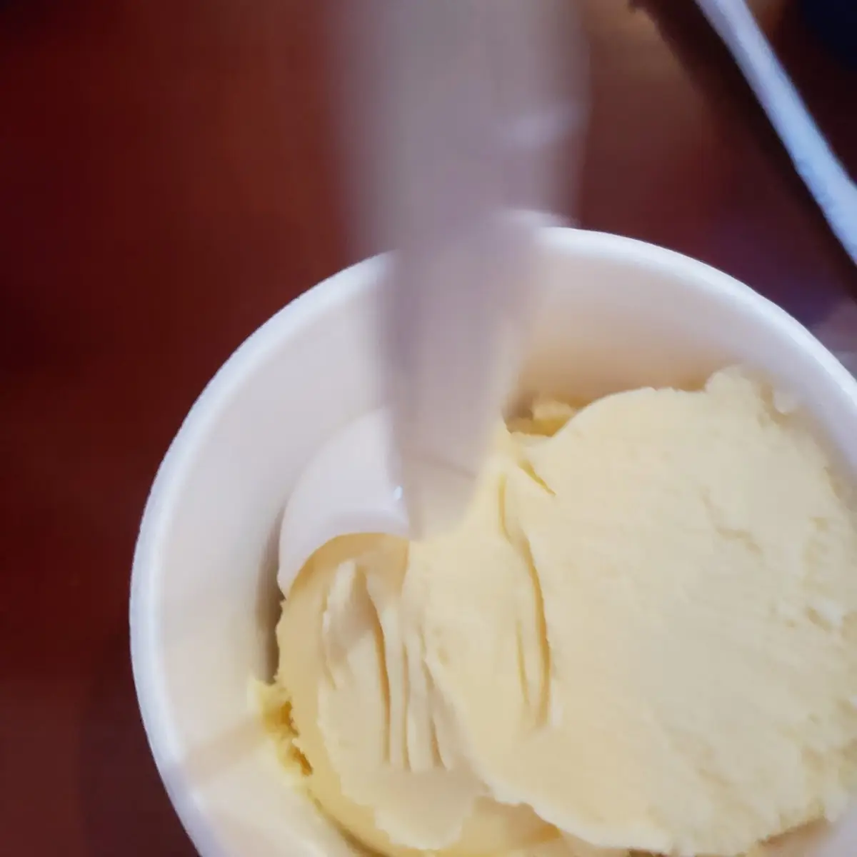 Vanilla Ice Cream
