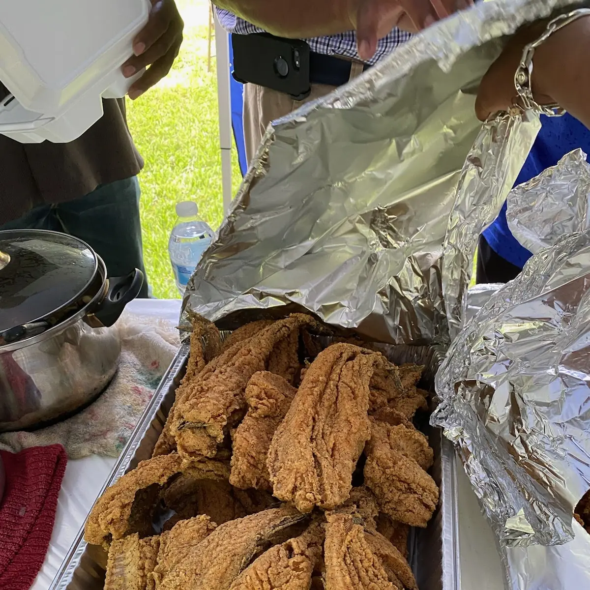 Deep Fried Catfish