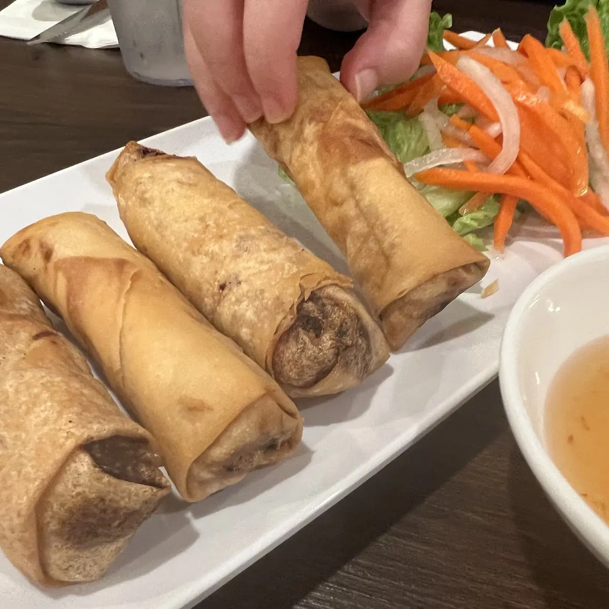 Chinese Vegetable Fried Spring Rolls 4