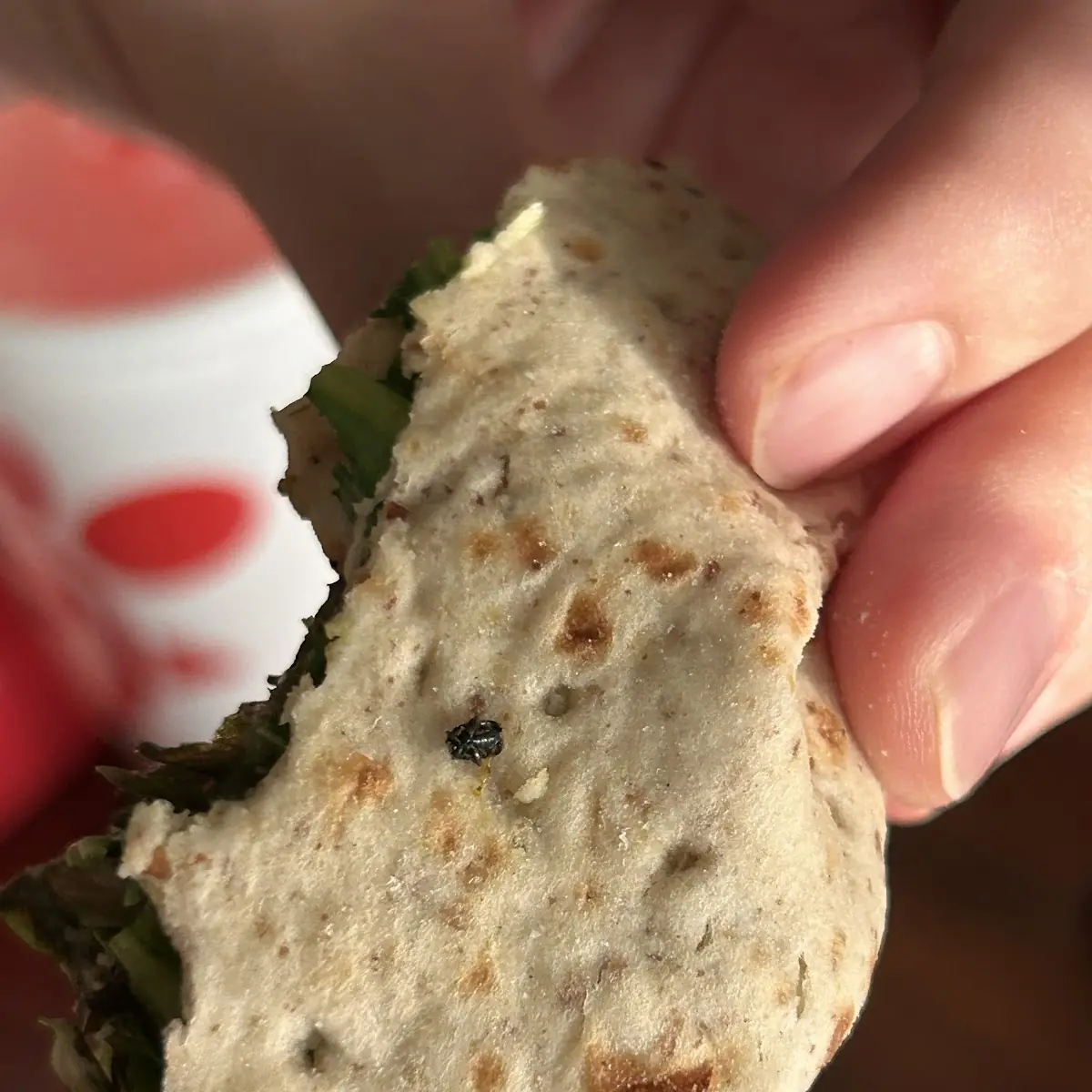 Egg White Grill Meal