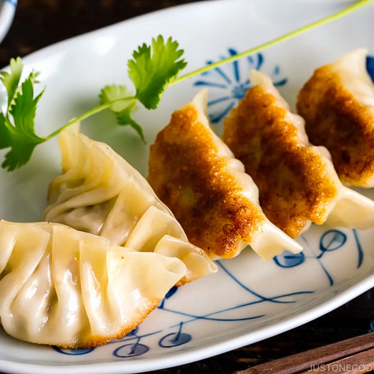 Gyoza