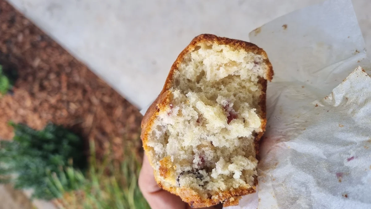 Raspberry Muffin