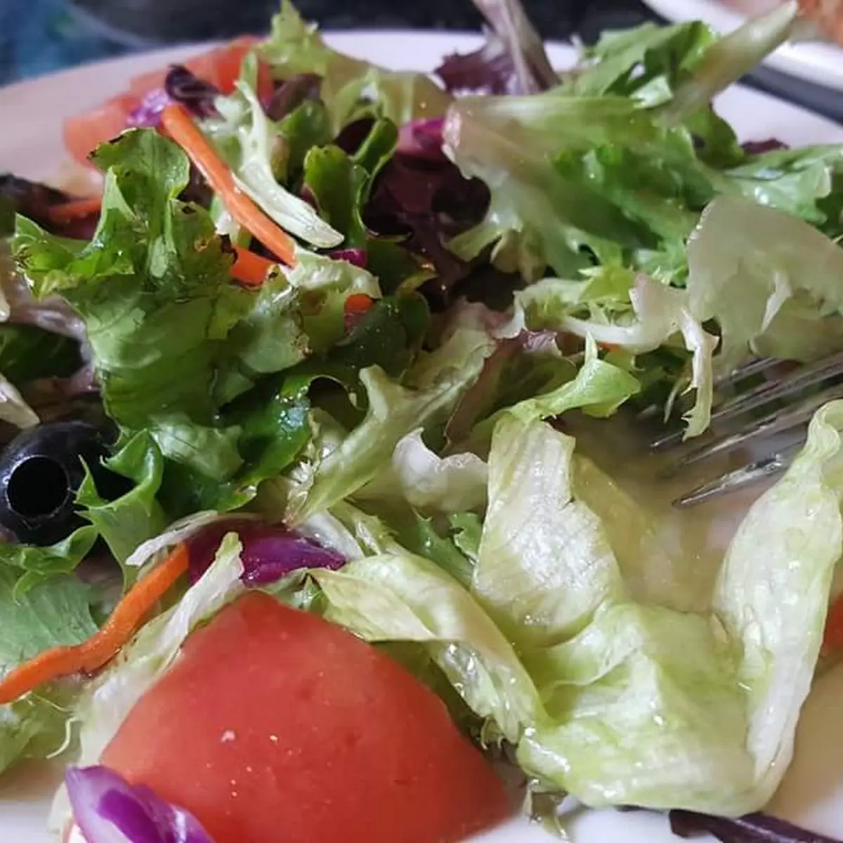 Garden Salad