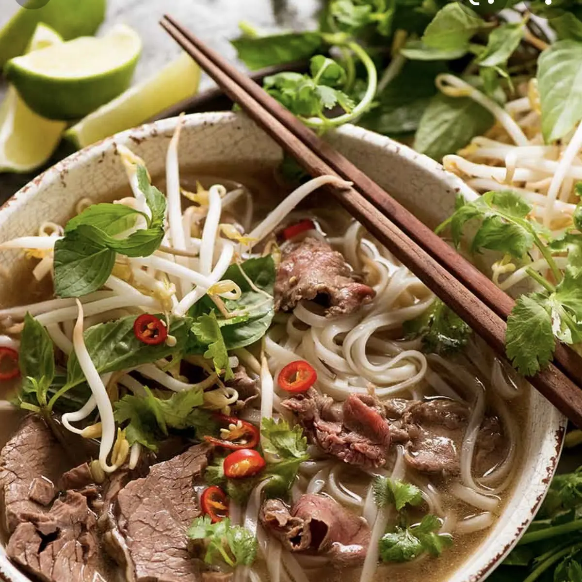 Vietnamese Noodle Soup