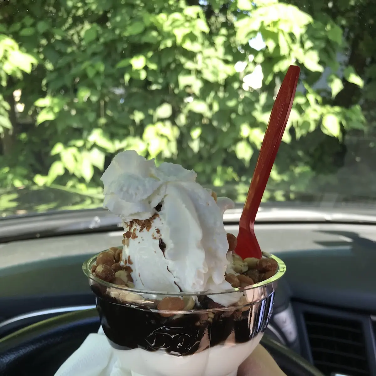 Hot Fudge Sundae with Whipped Cream