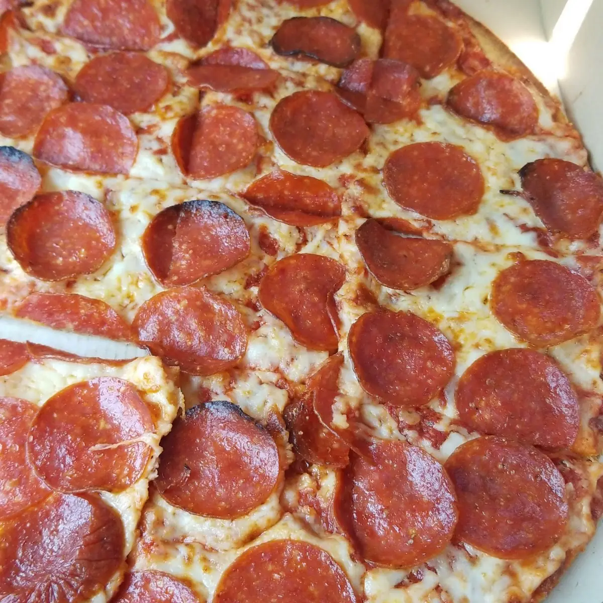 Thin Crust Pizza