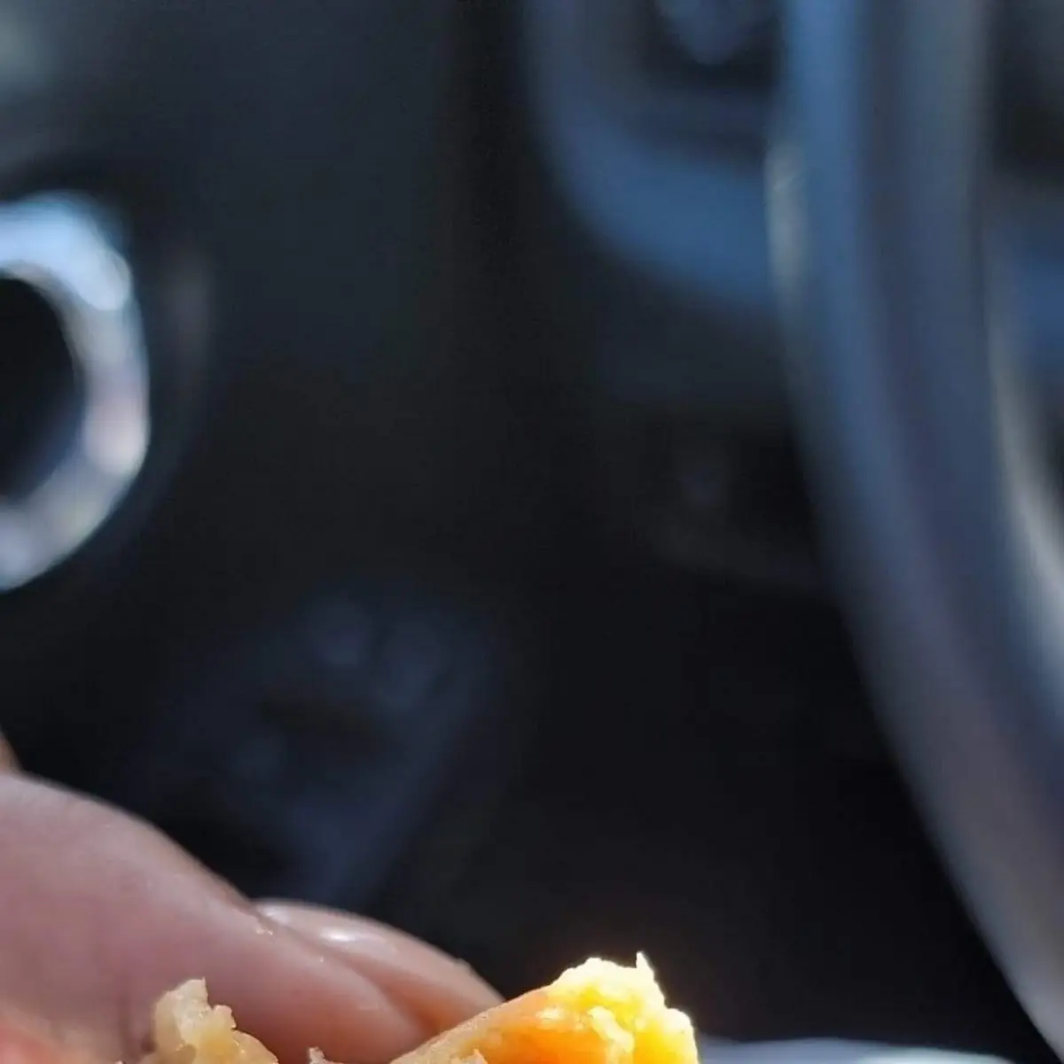 Spicy Chicken and Cheese Tamales