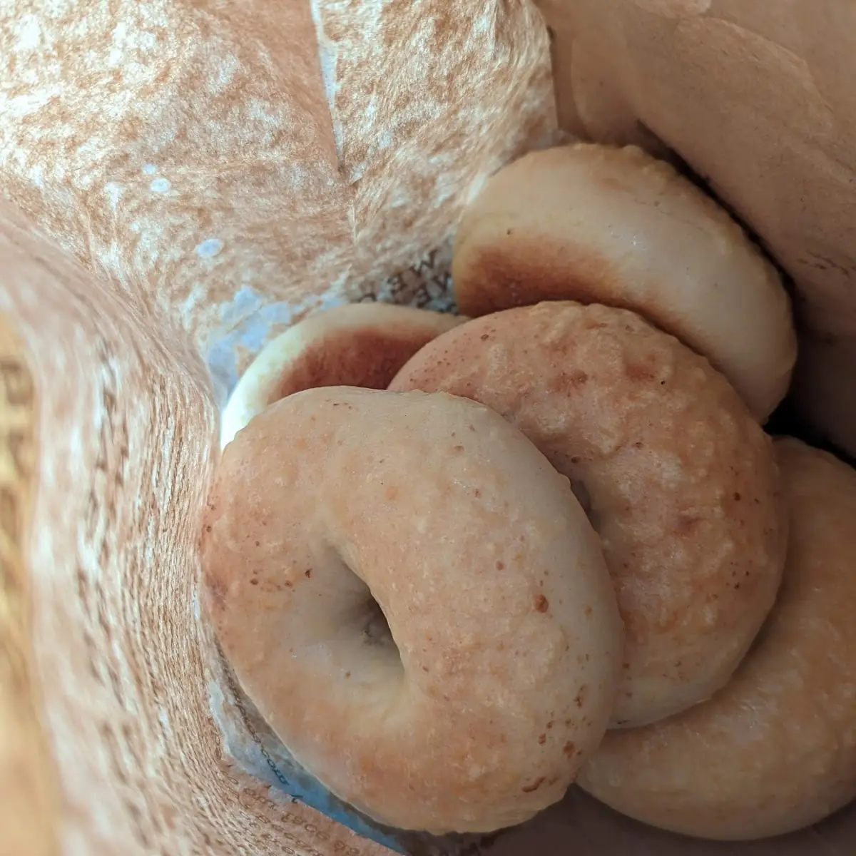 Asiago Cheese Bagels