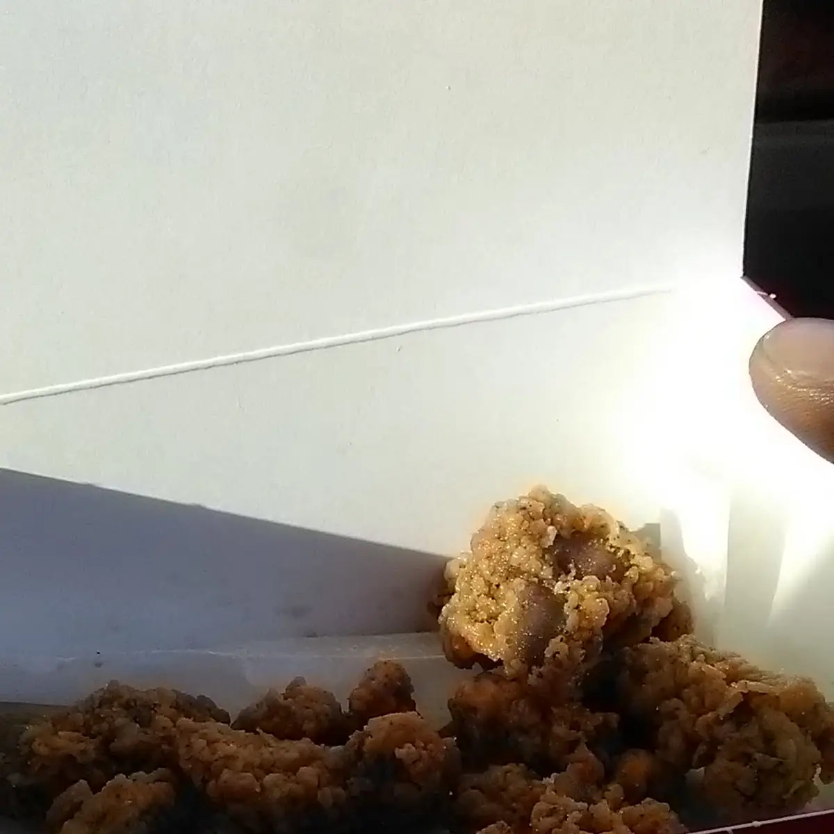 World Famous Gizzards