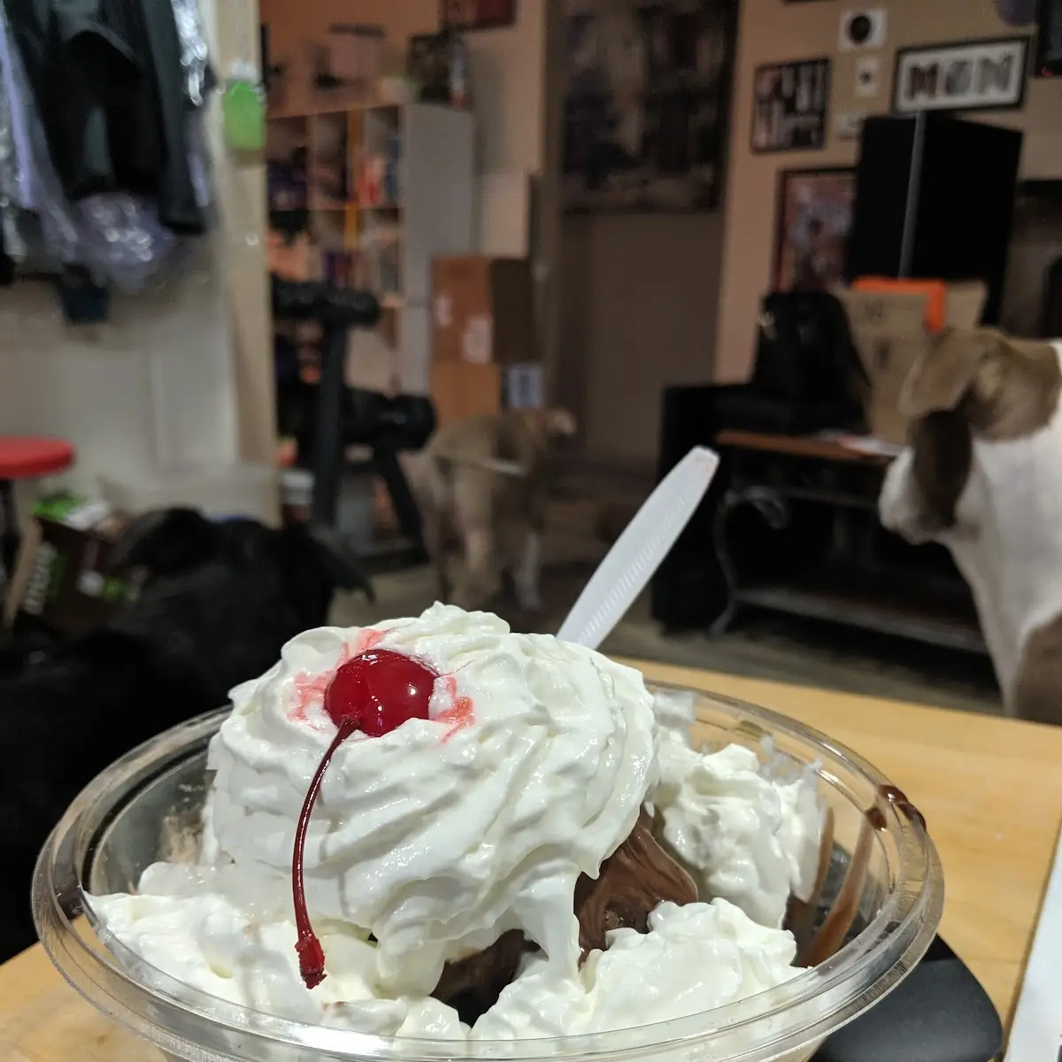 Cookie Sundae