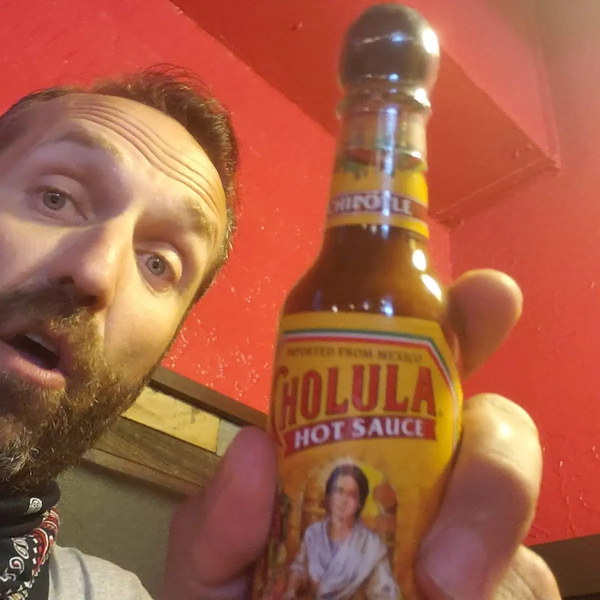 Mexican Chipotle Sauce