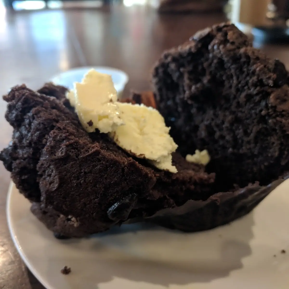 Chocolate Chip Muffin