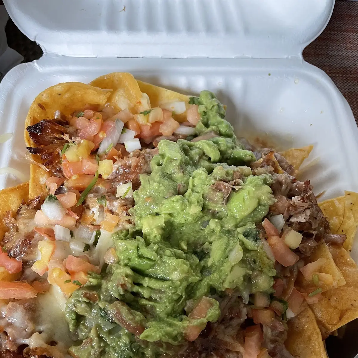 Carne Asada Fries