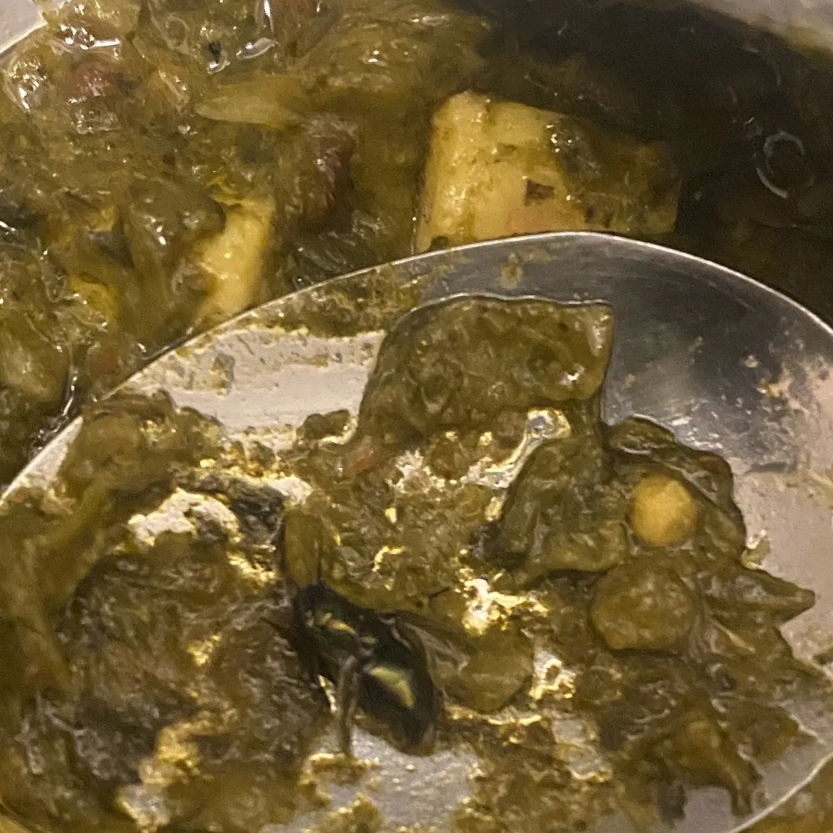 Chicken Saag