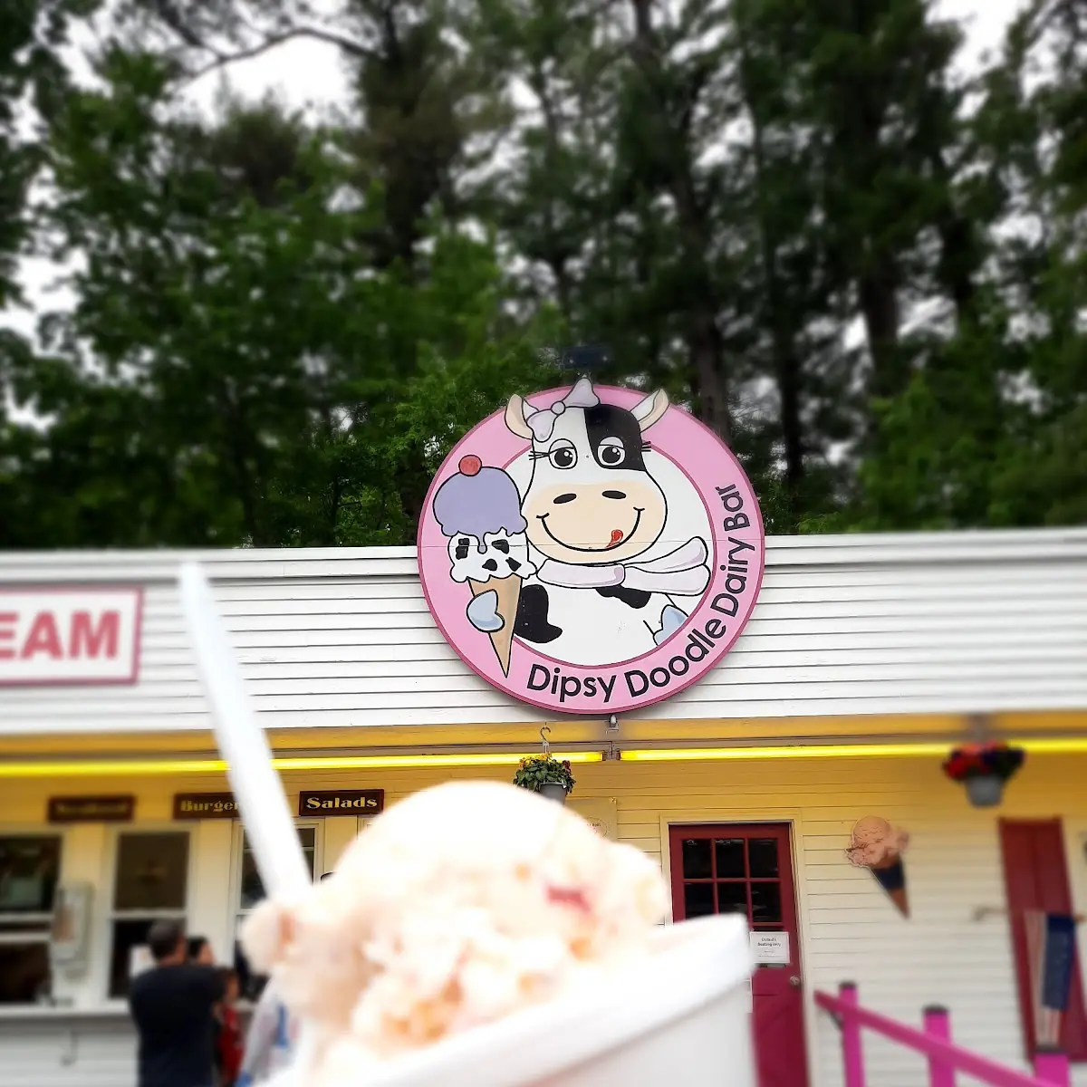 Strawberry Cheesecake Ice Cream