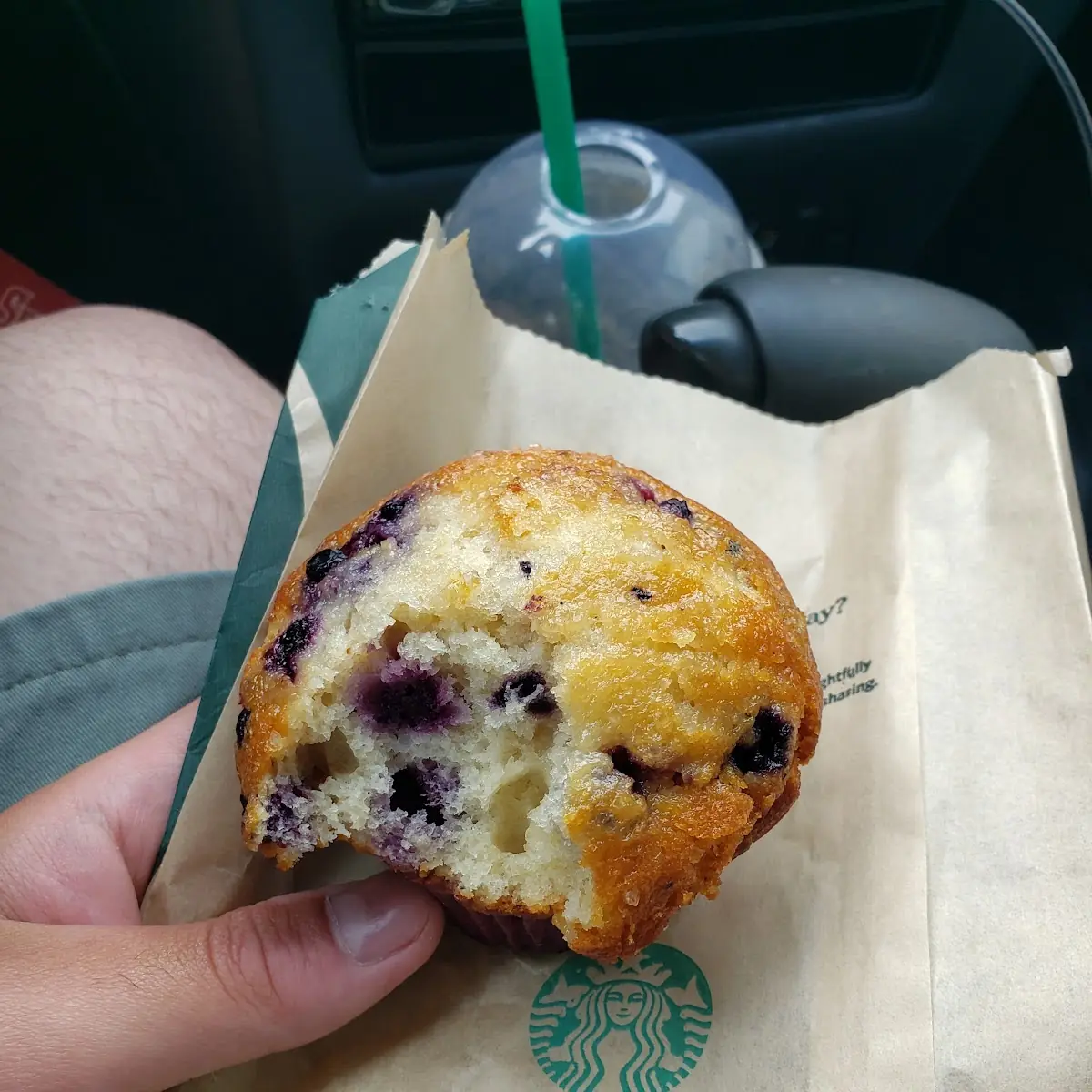 Blueberry Muffin