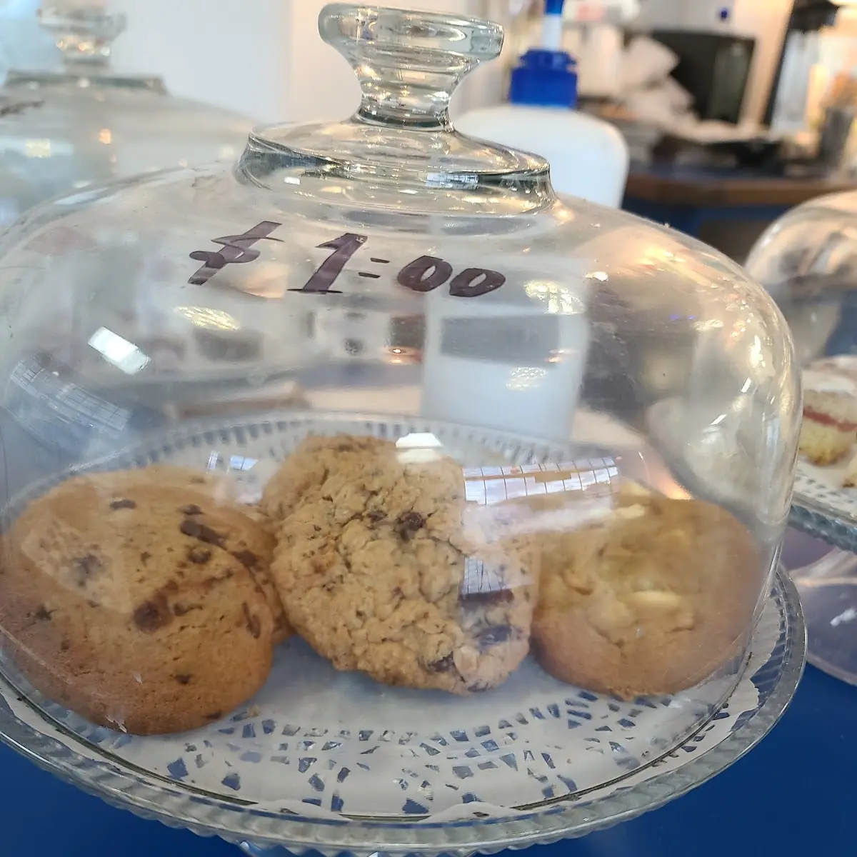 Macadamia Oatmeal and Chocolate Chip Cookies