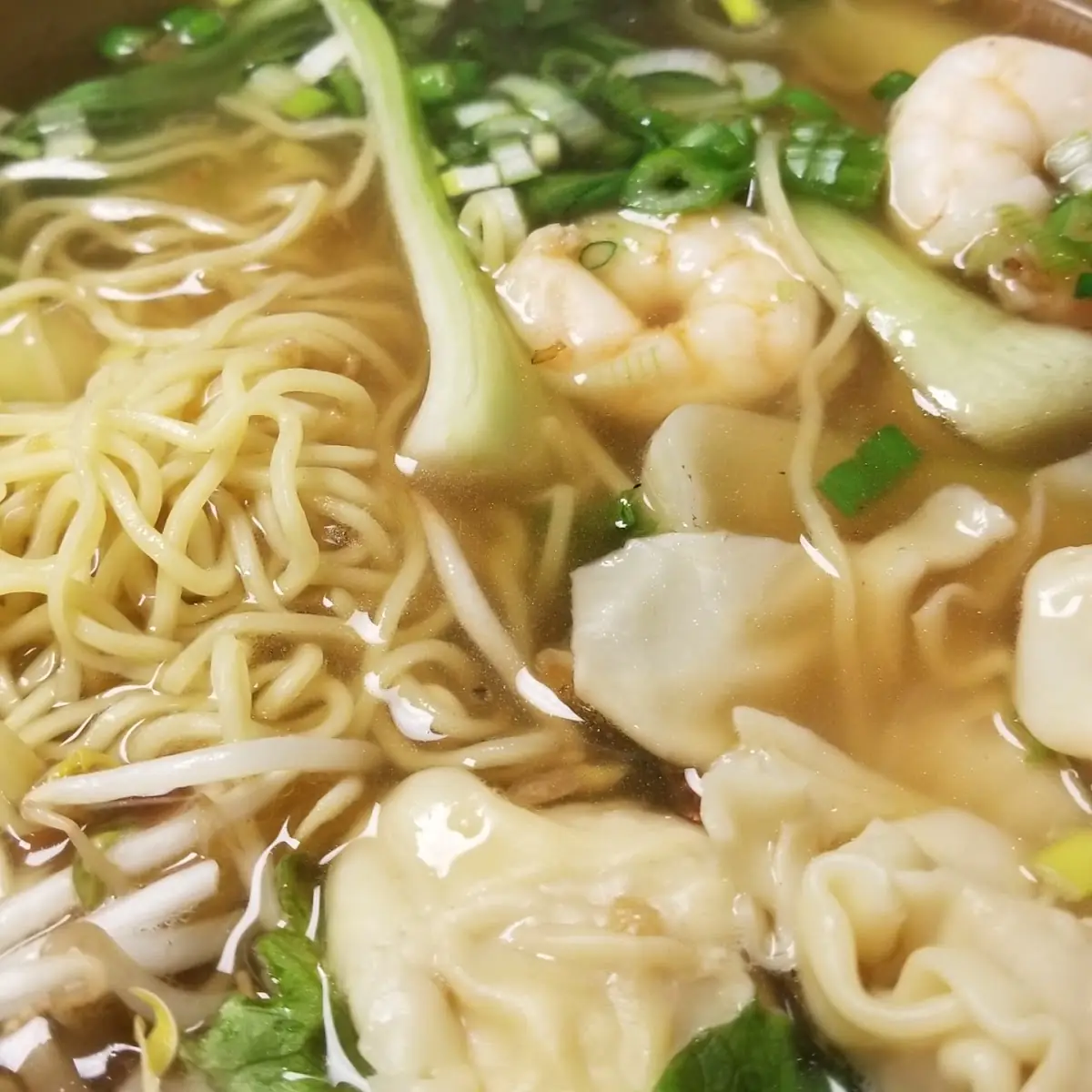 Dumpling Noodle Soup