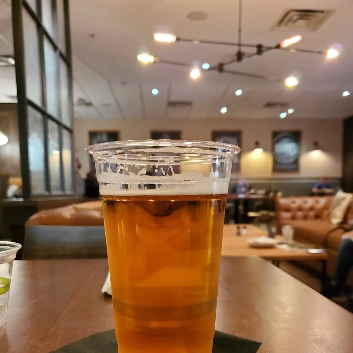 Goose Island IPA