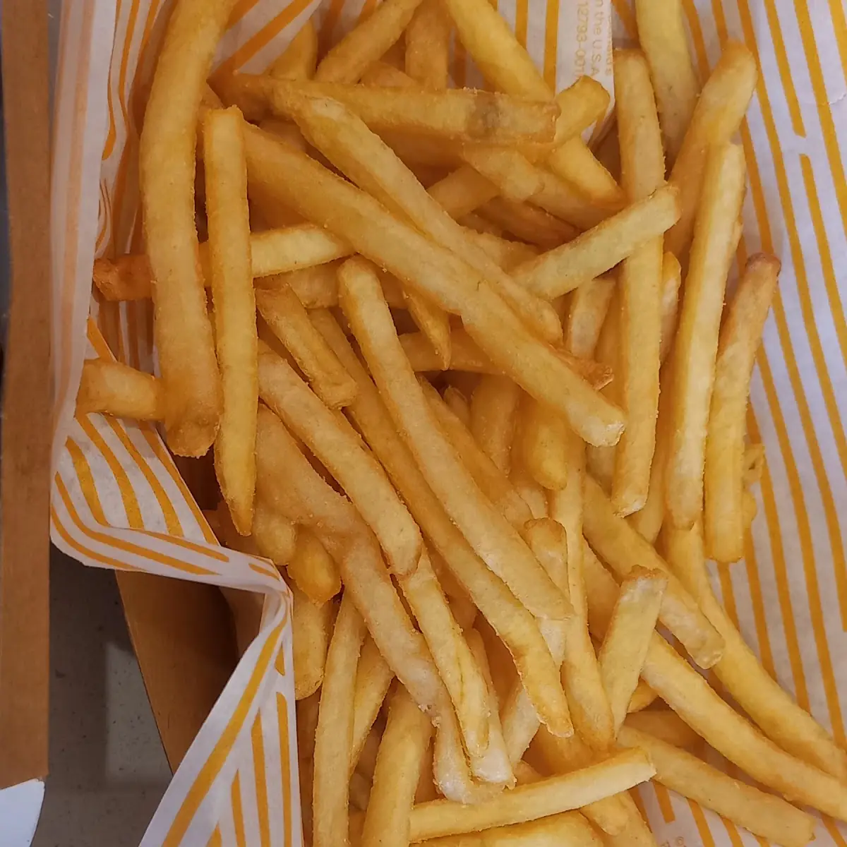 World Famous Fries