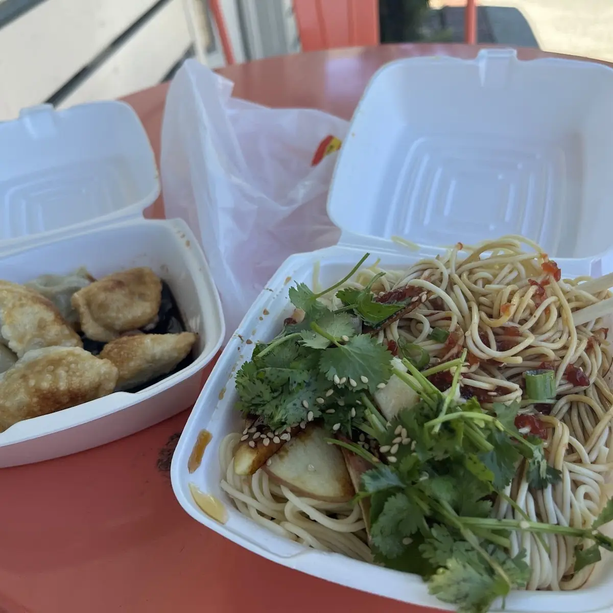 Pan-Fried Dumplings