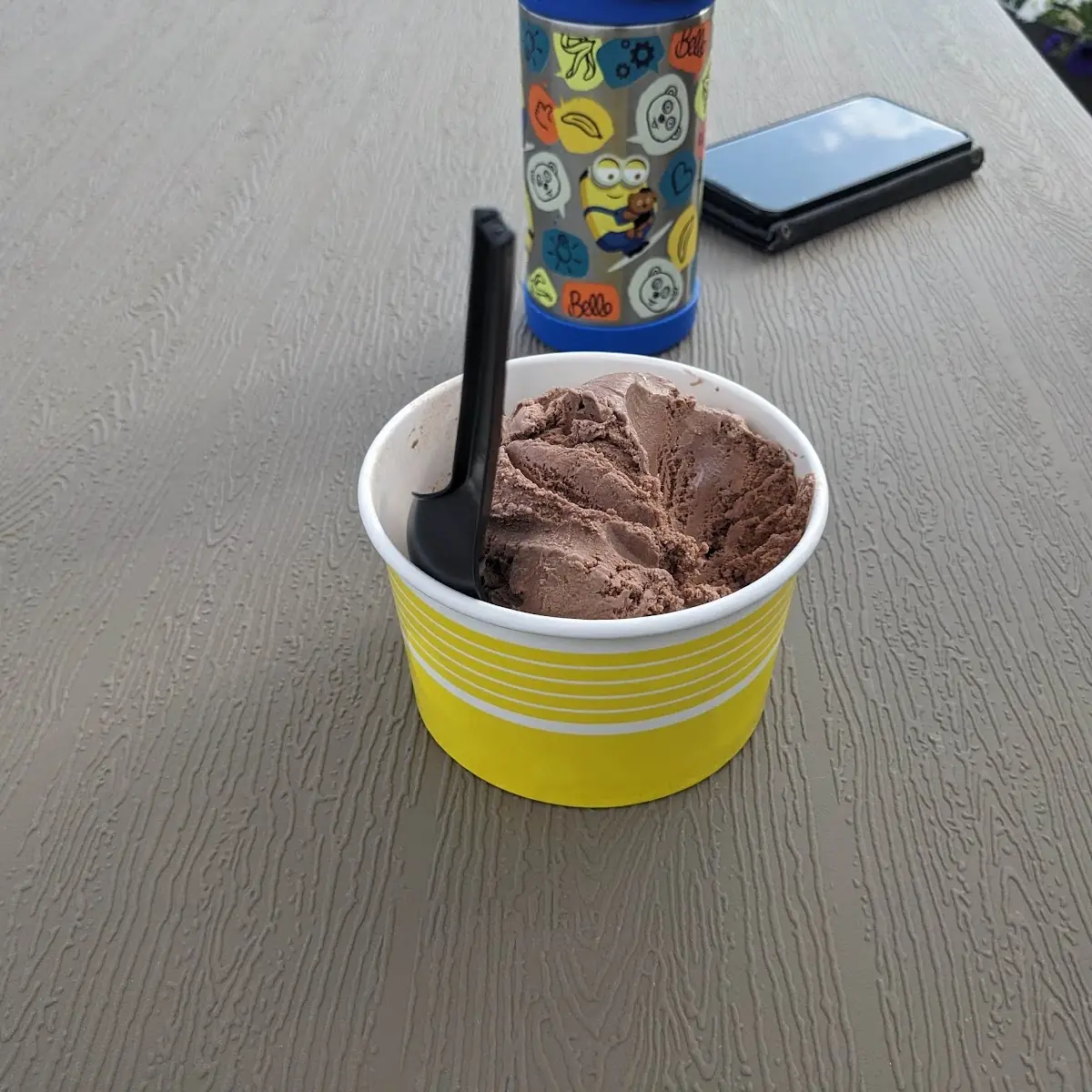 Chocolate Ice Cream