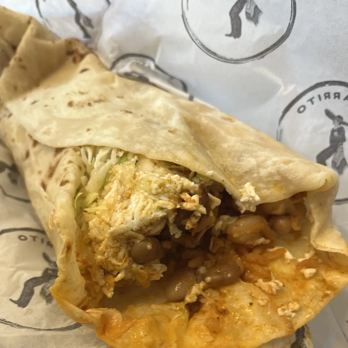 Chipotle Chicken and Asada Burrito