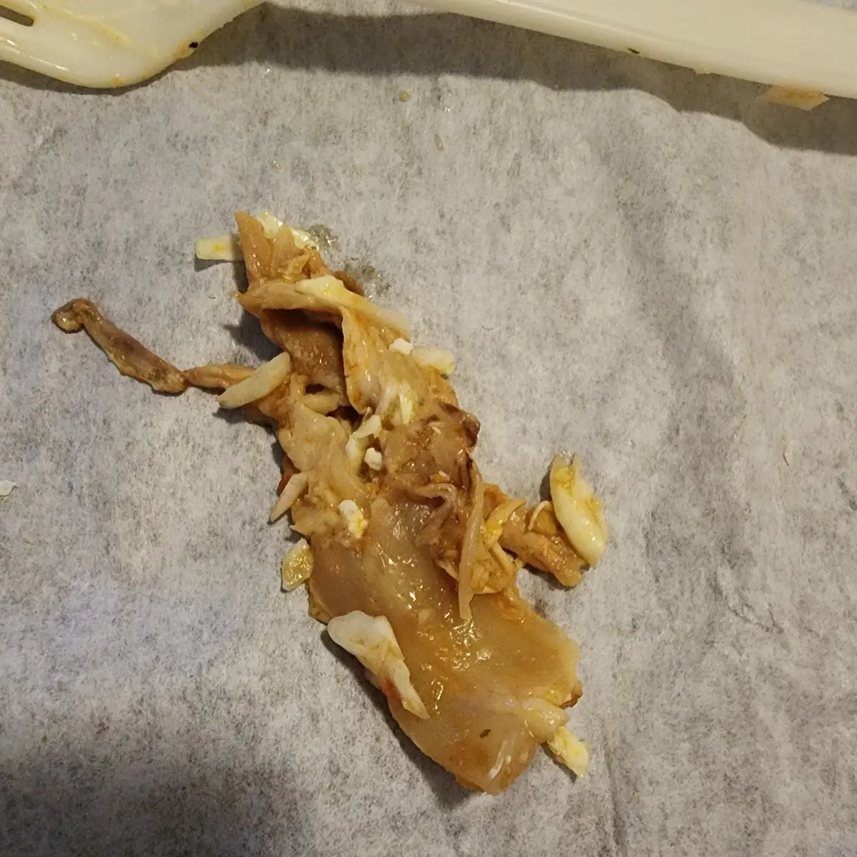 Raw Chicken Inside Burrito