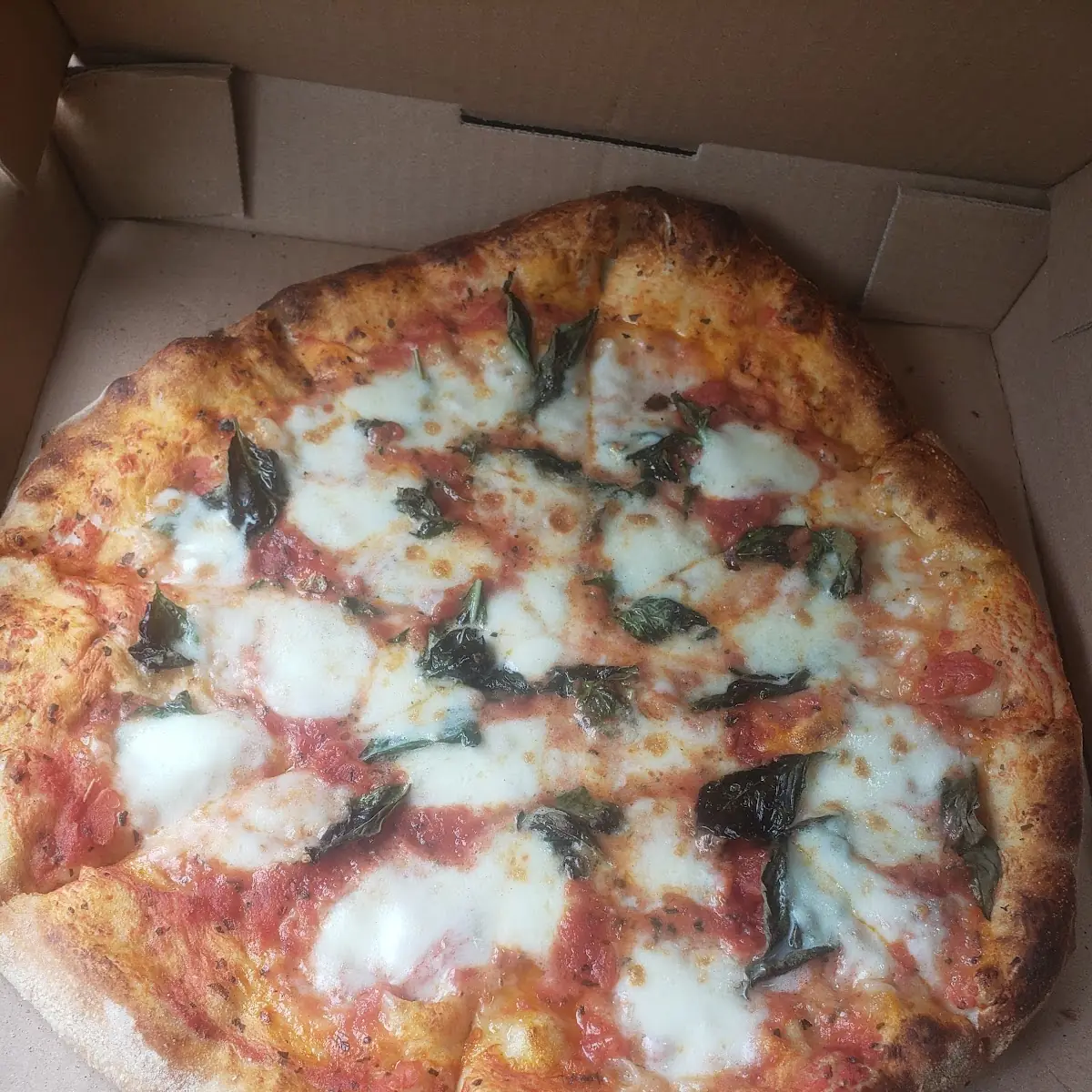 Margherita Pie