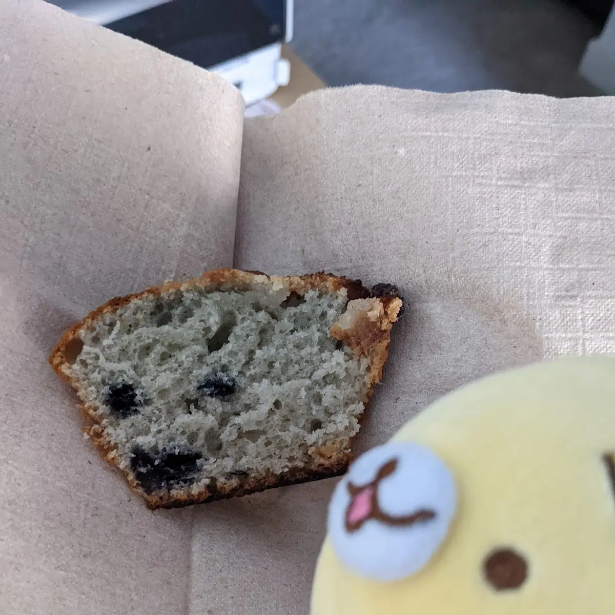 Blueberry Muffin