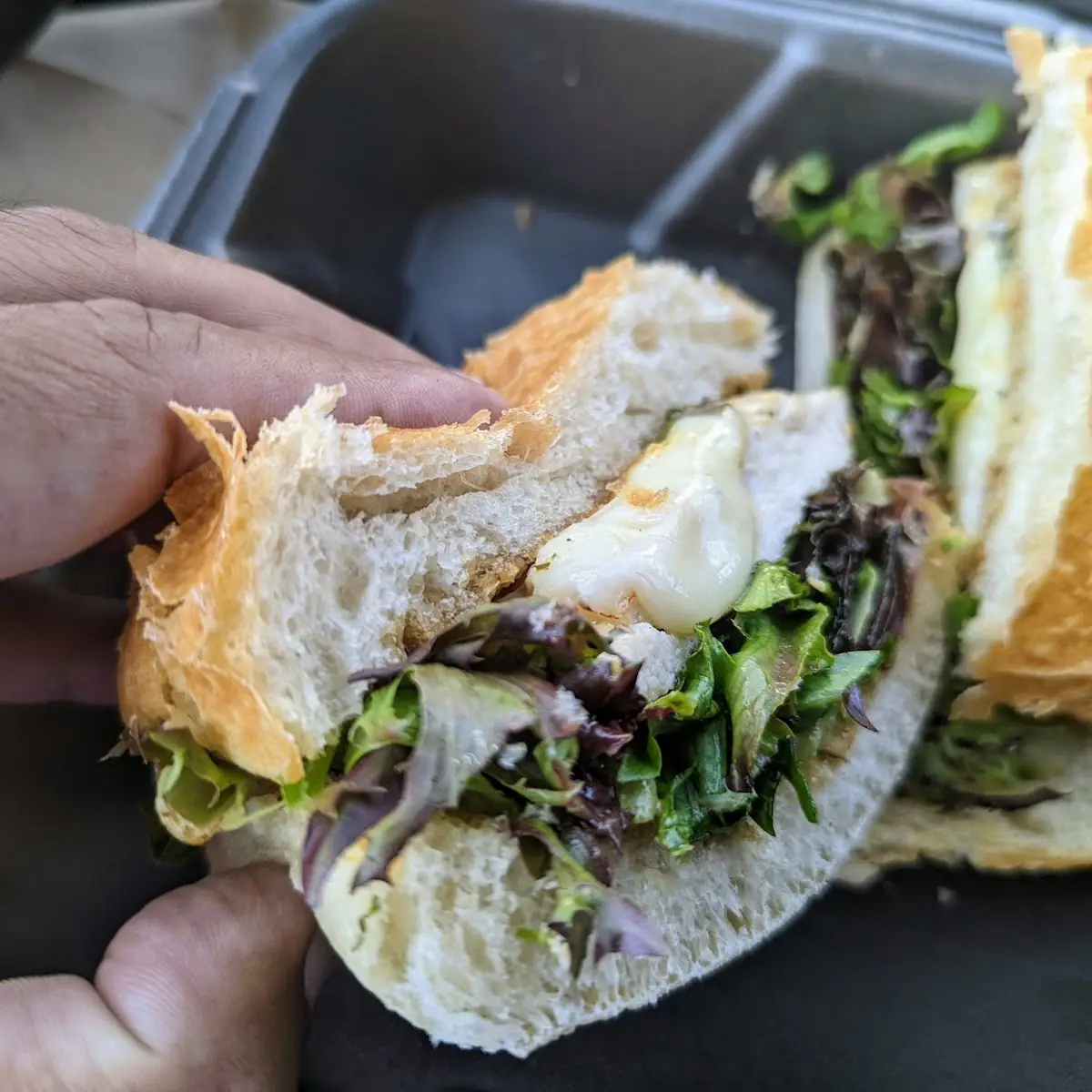 Grilled Chicken Sub